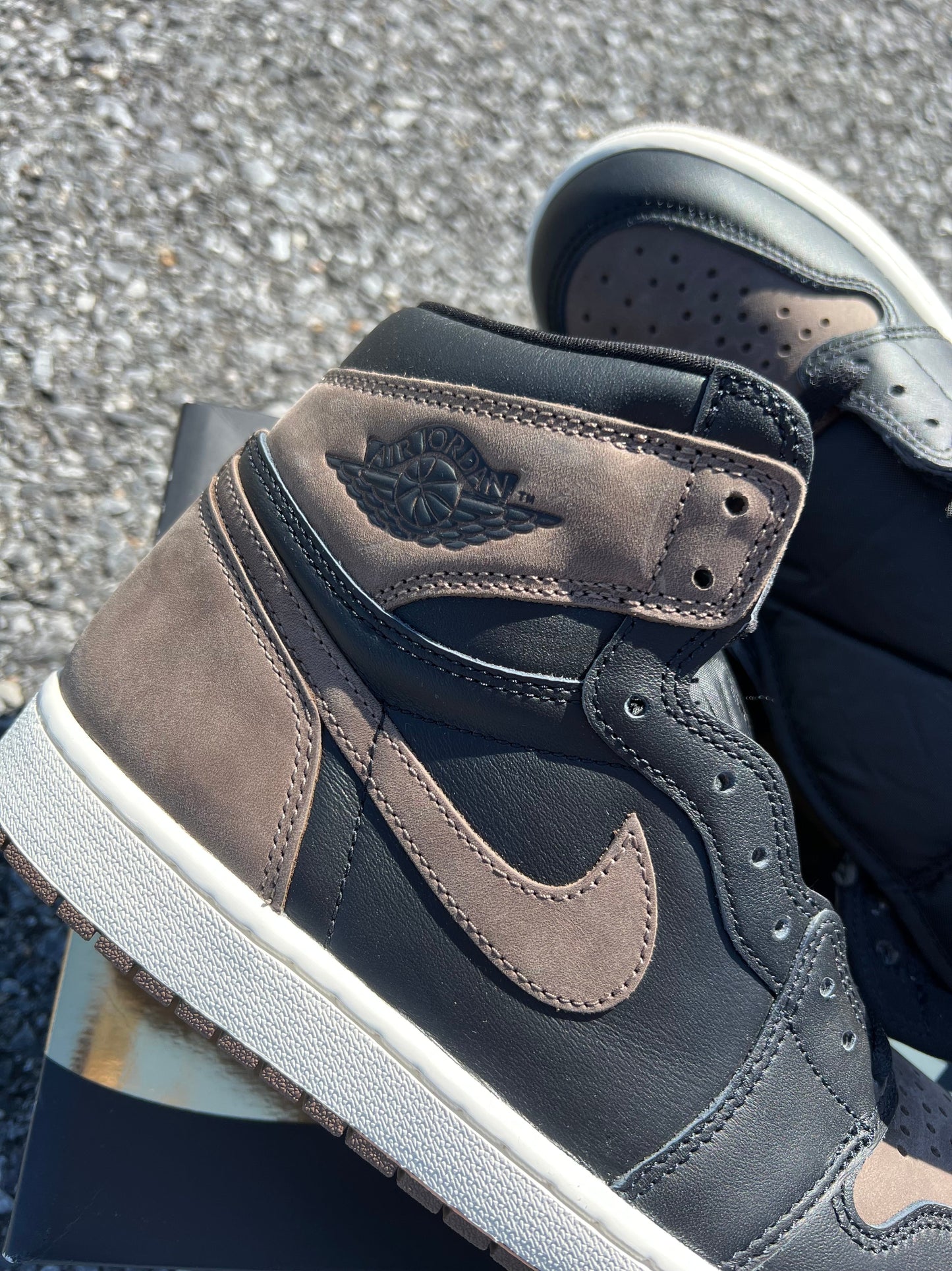 Air Jordan 1 “Palomino” (GS)