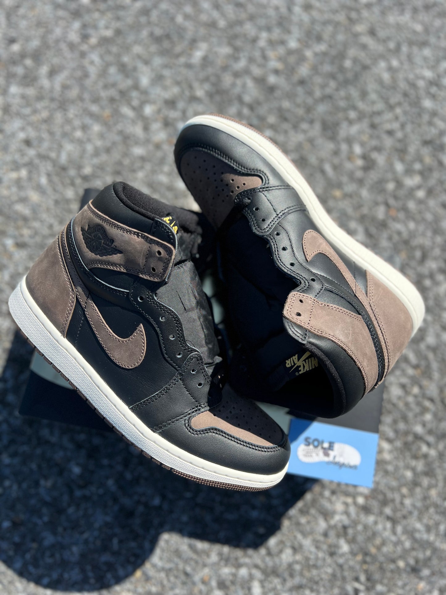 Air Jordan 1 “Palomino”
