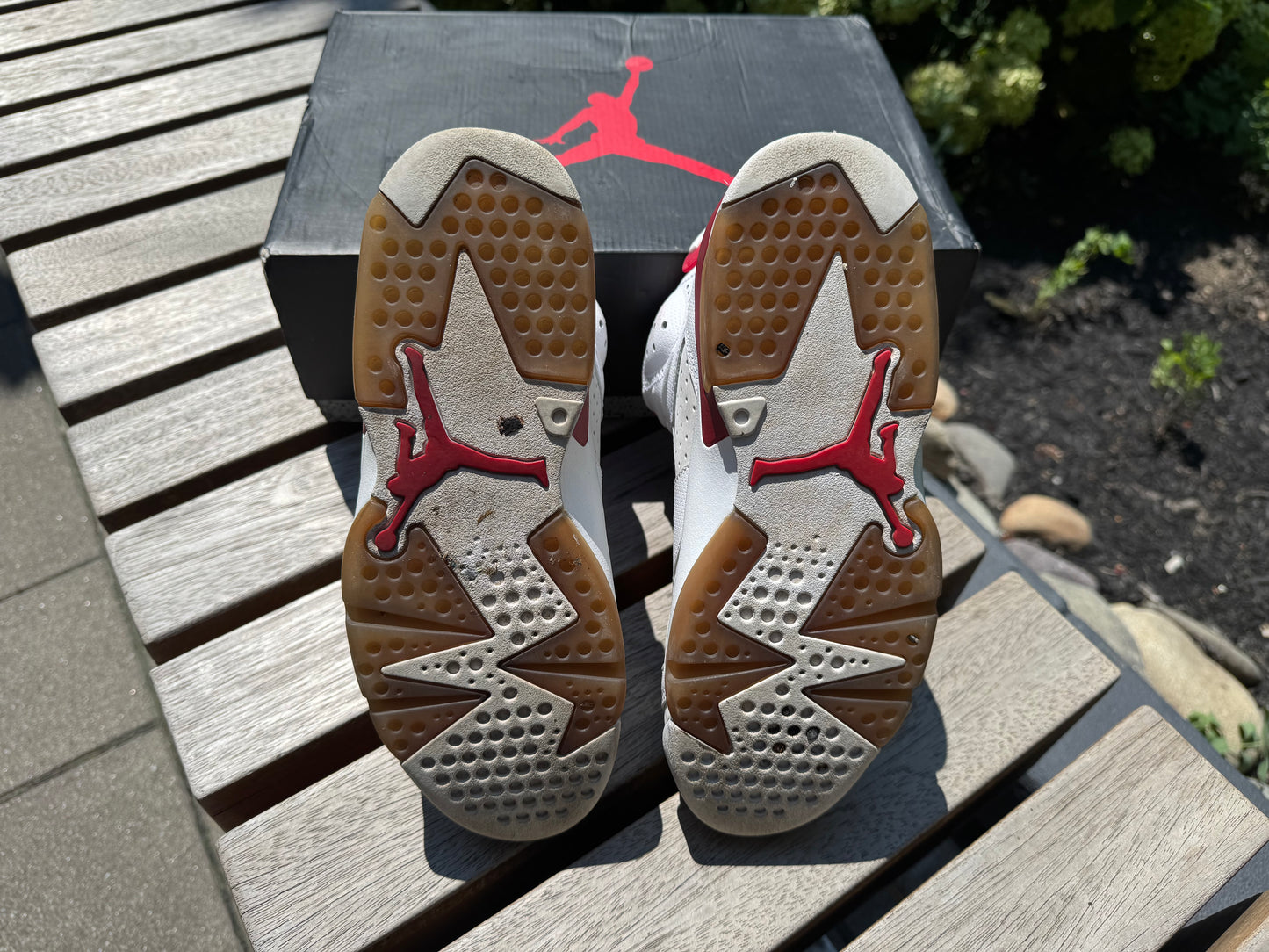 Jordan 6 Retro Alternate Hare *USED*