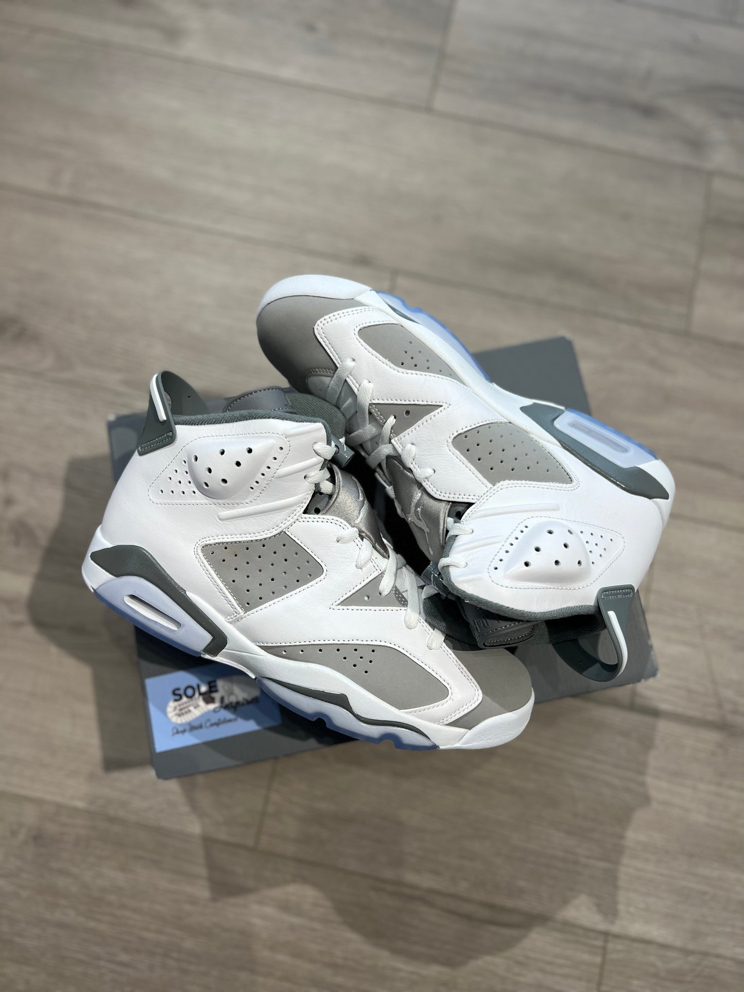 Air Jordan 6 “Cool grey”