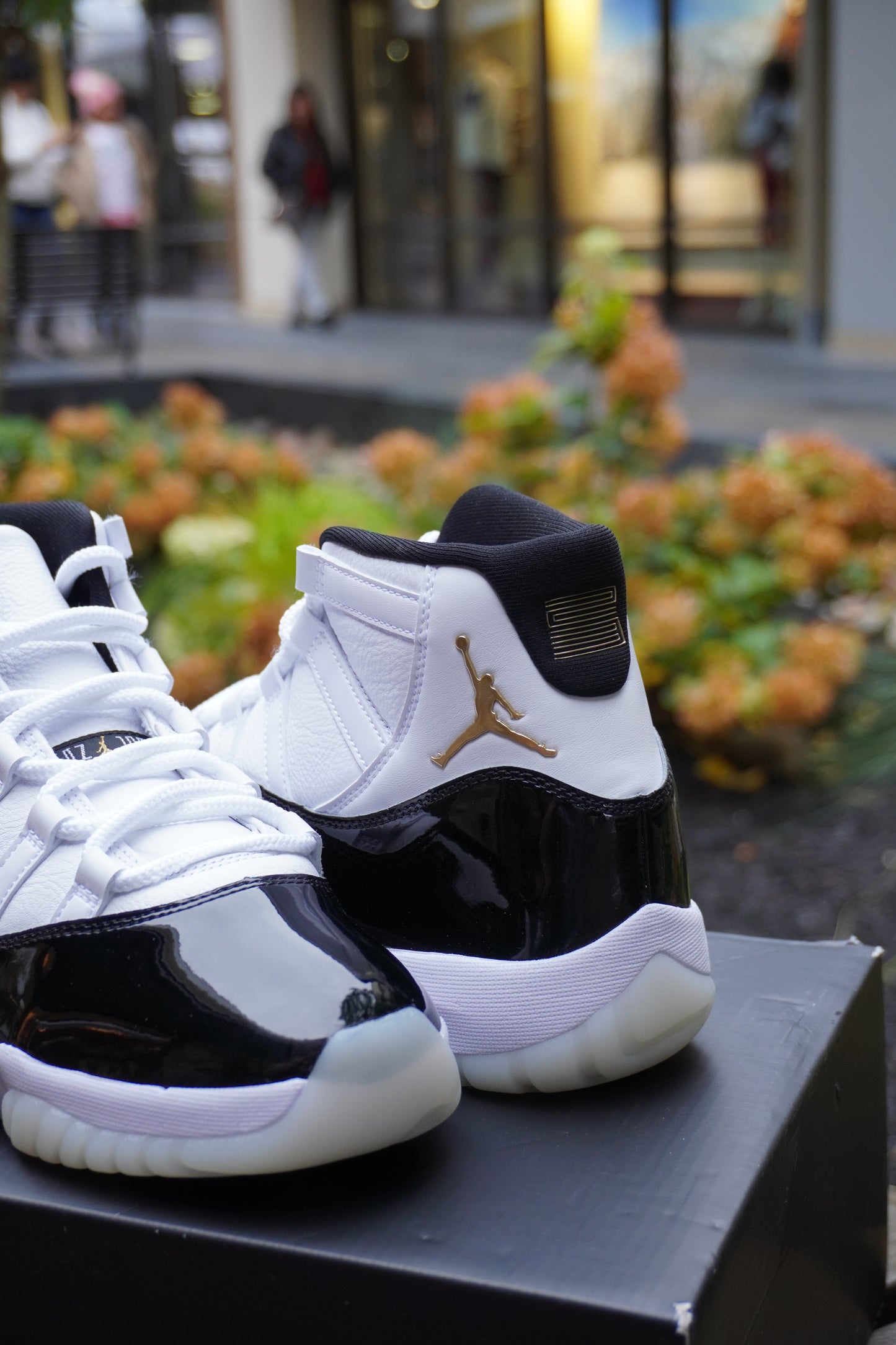 Air Jordan 11 “Gratitude”