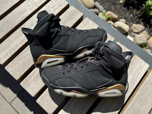 Jordan 6 Retro DMP (2020) *USED*
