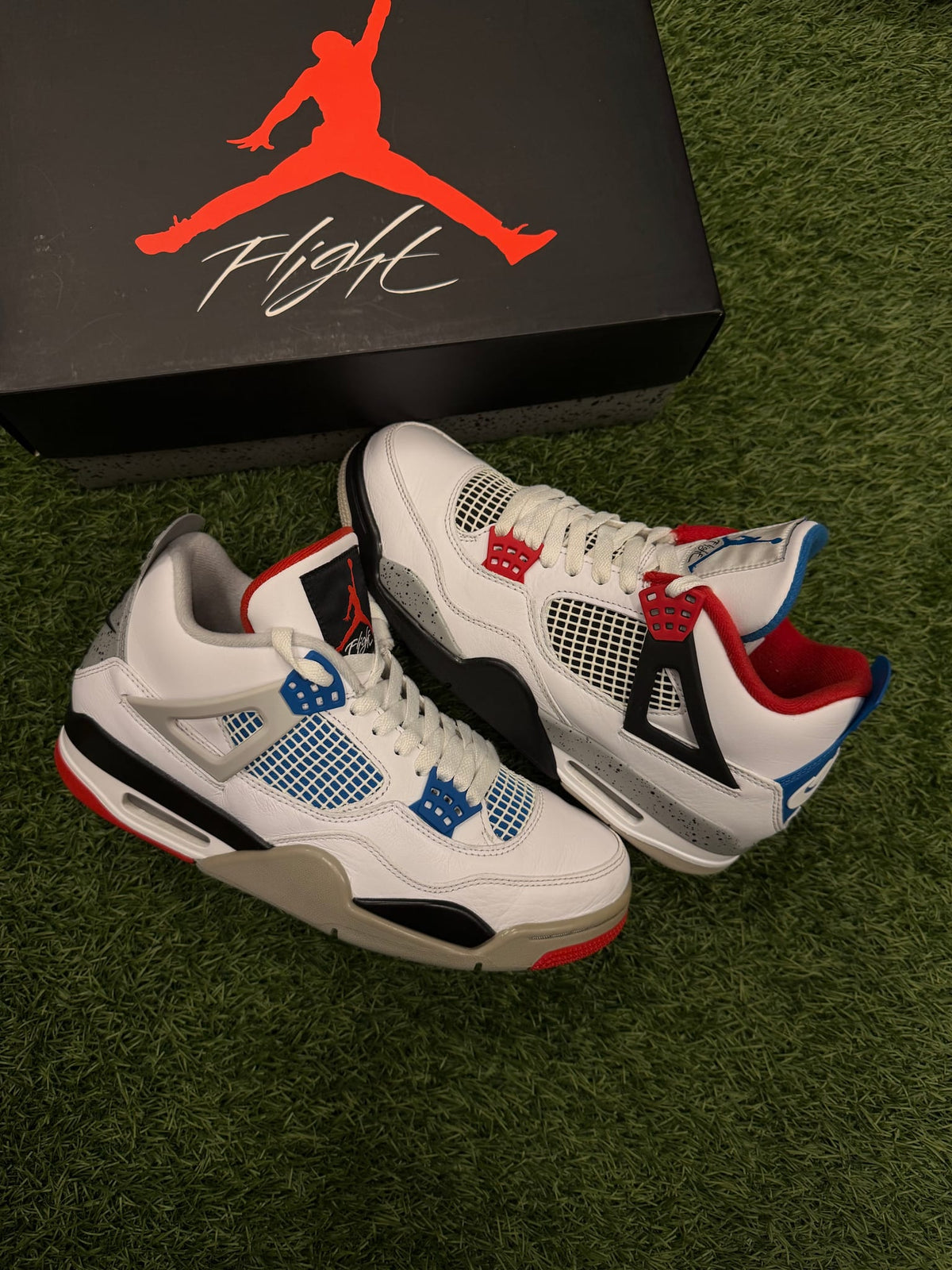 Jordan 4 Retro What The
