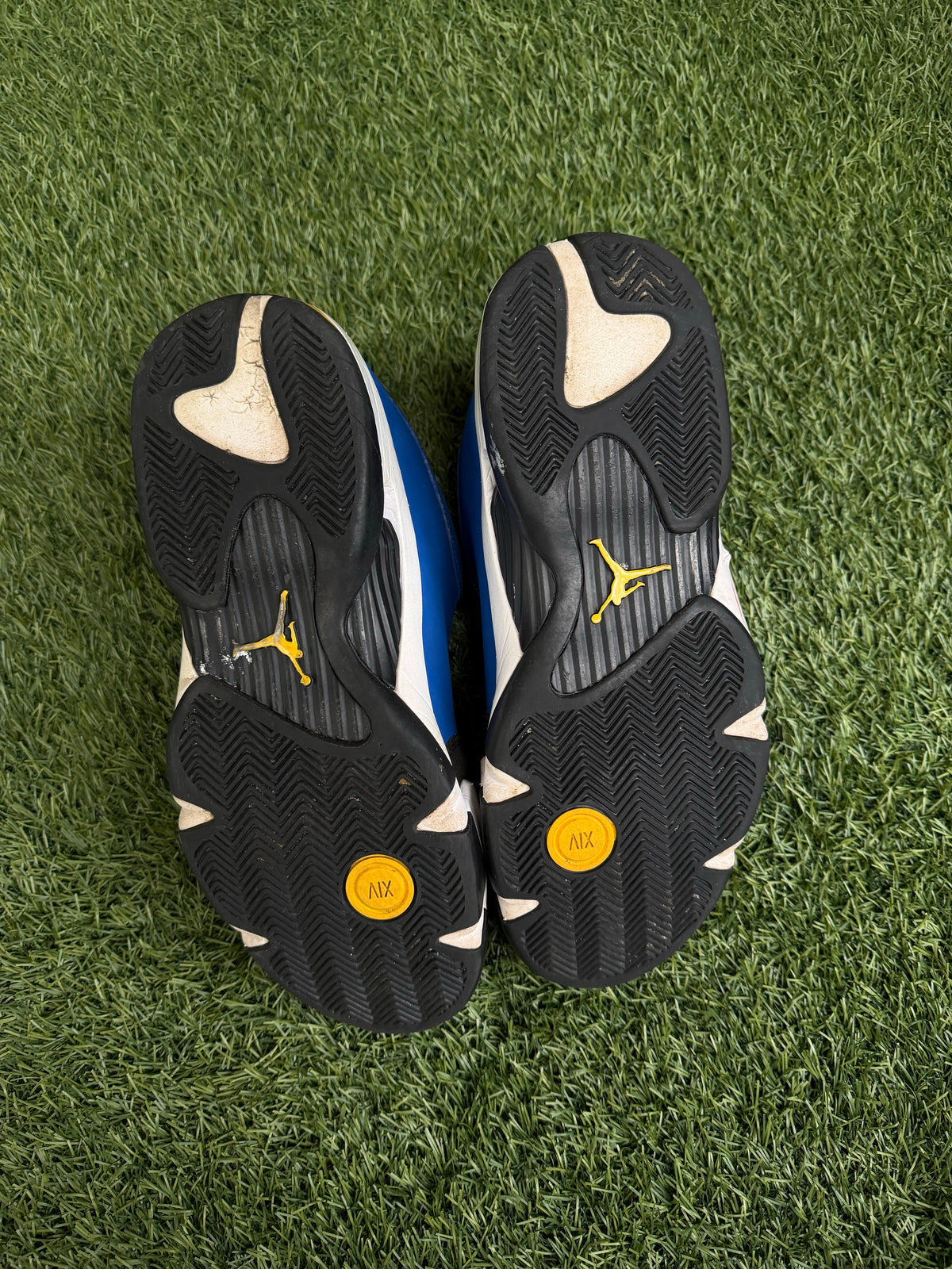 Jordan 14 Retro Laney (2023)