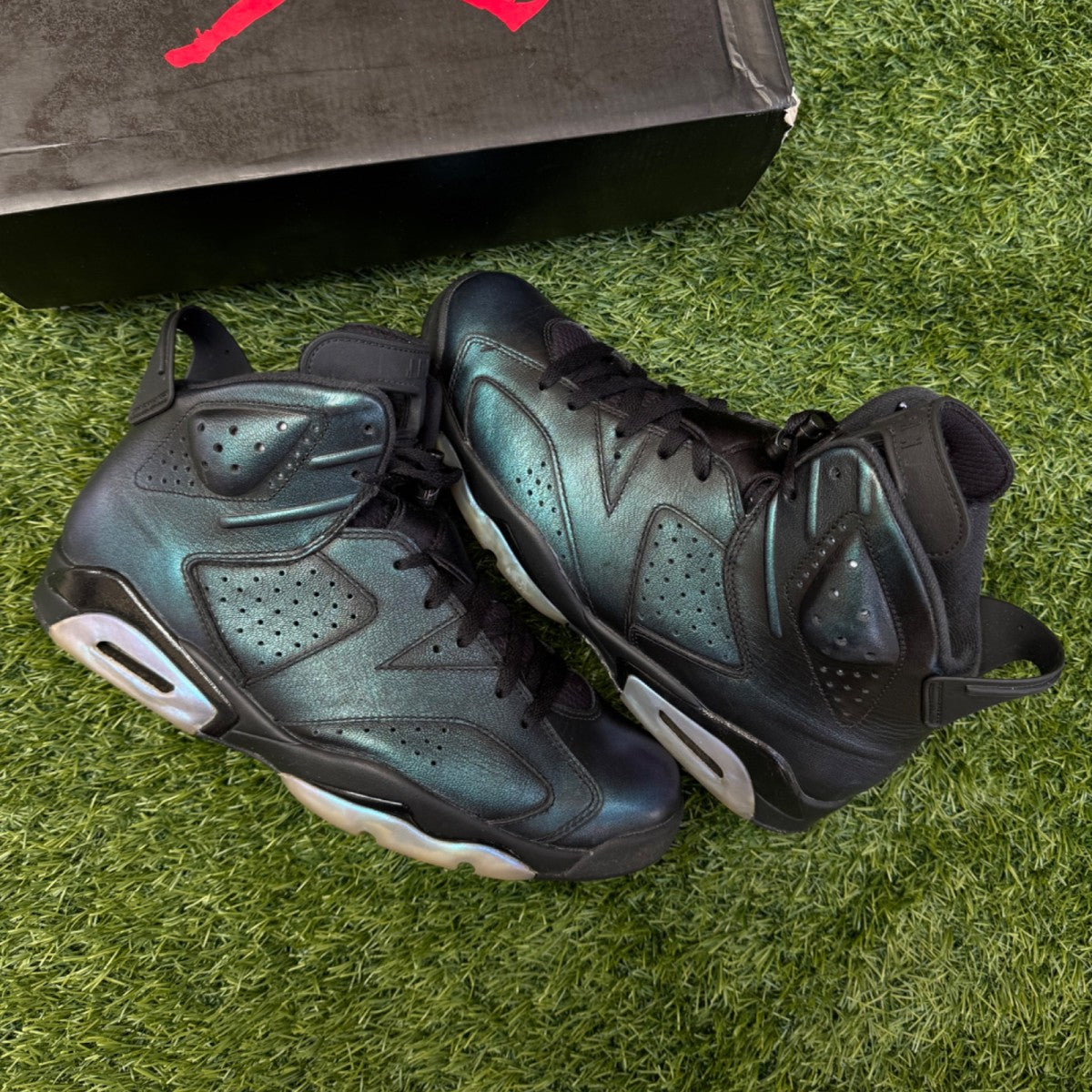 Jordan 6 Retro All-Star Chameleon (2017)
