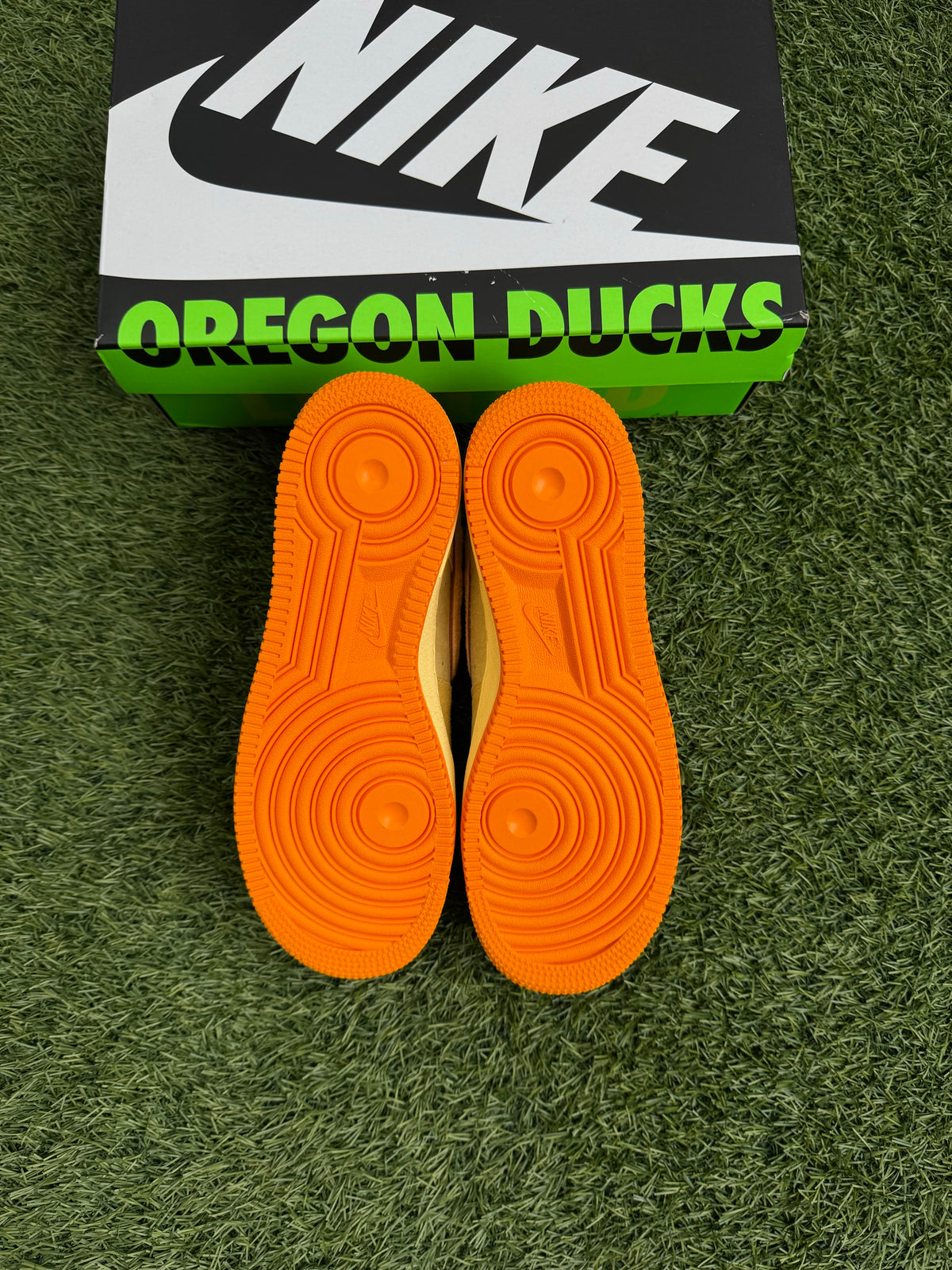 Nike Air Force 1 Low Ducks of a Feather University of Oregon Duck or Egg
