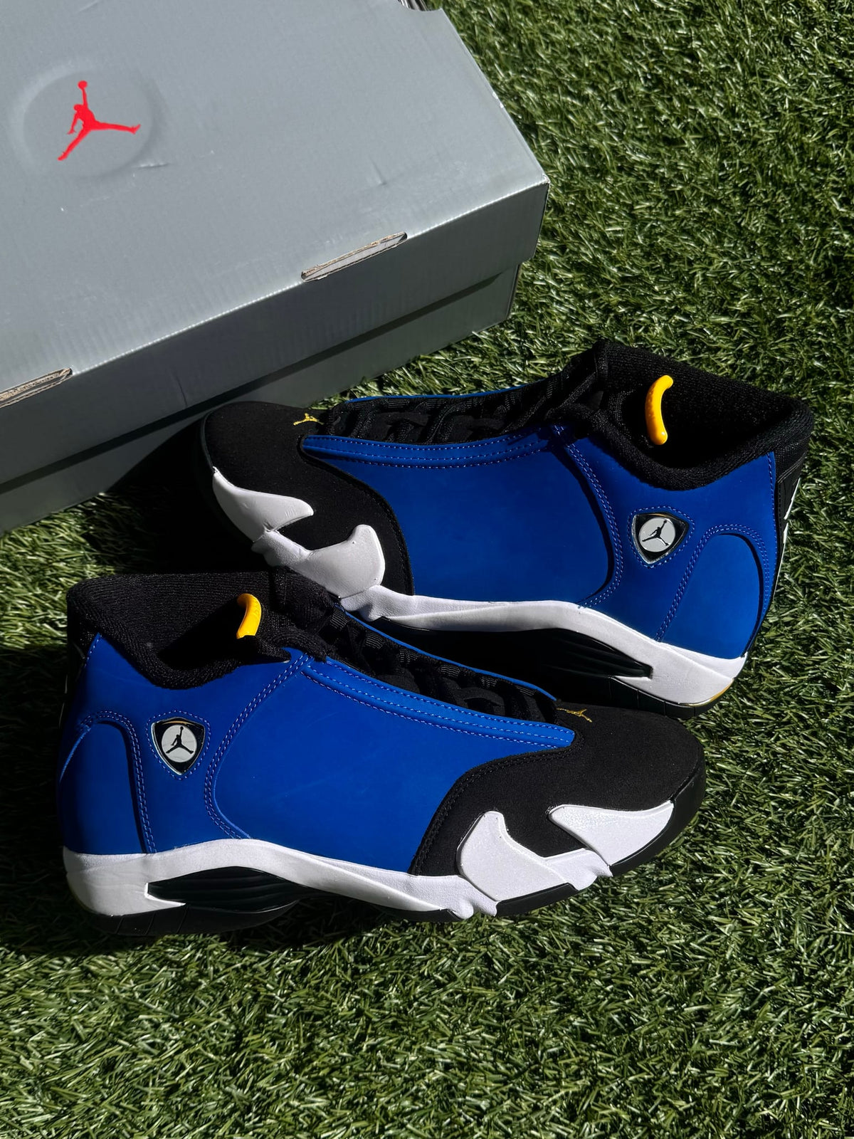 Jordan 14 Retro Laney (2023)