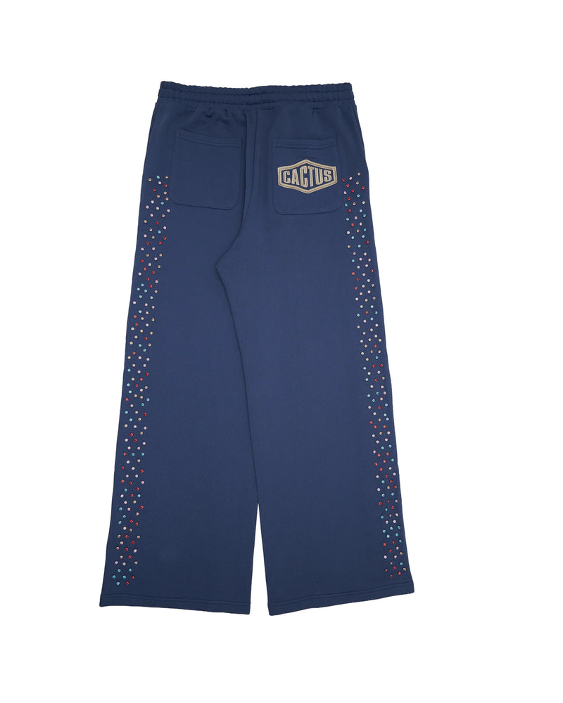 AZVA Crystal Cactus (Navy) Sweats