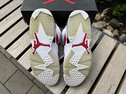 Jordan 6 Retro Carmine (2021) *USED*