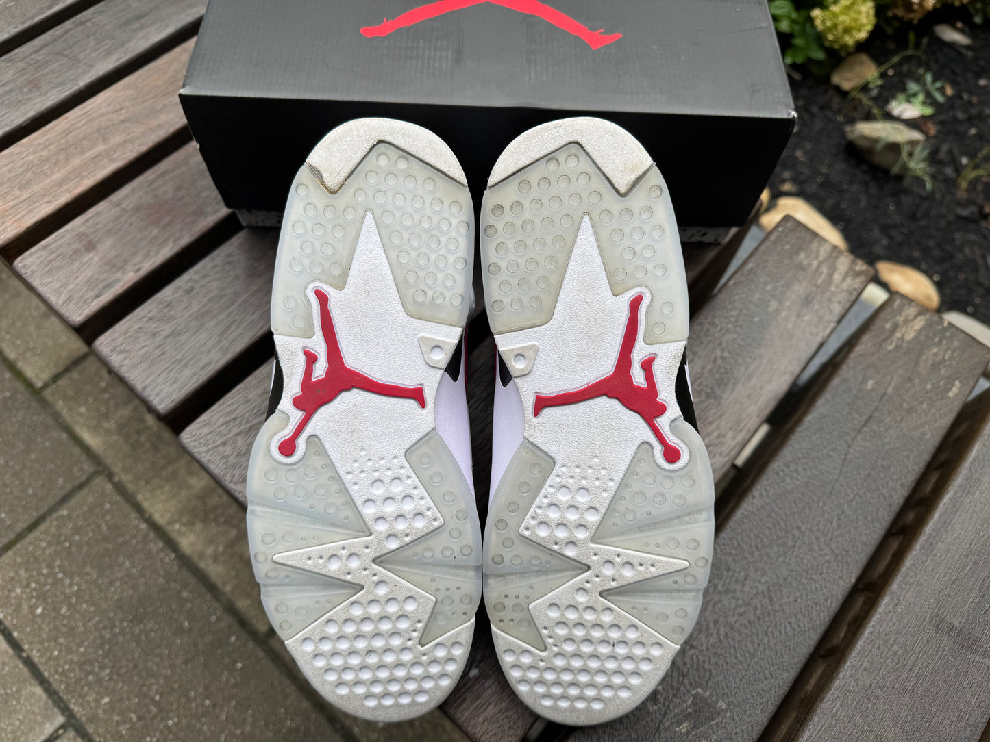 Jordan 6 Retro Carmine (2021) *USED*