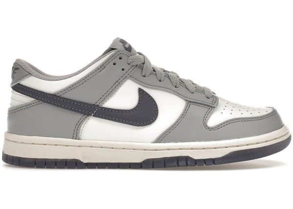 Nike Dunk Low "Platinum Grey" (PS)