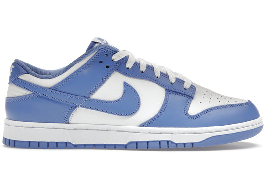 Nike Dunk Low Polar Blue *USED* (NO BOX)