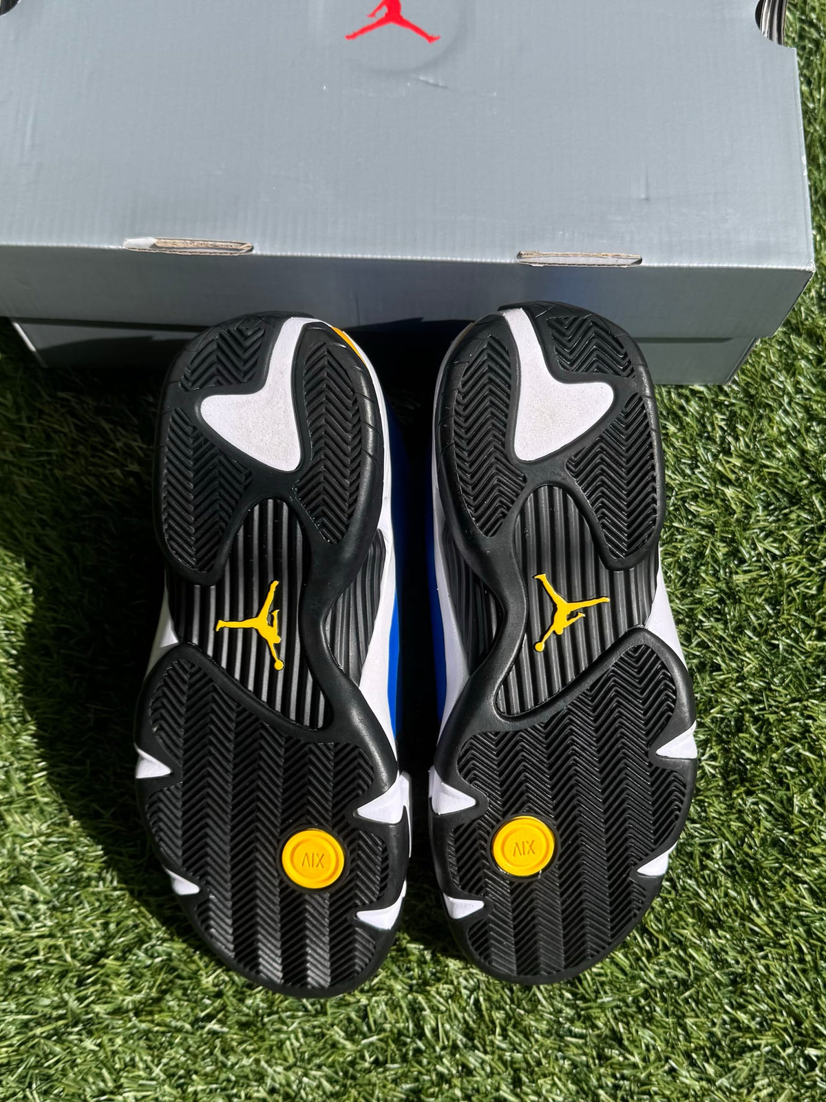 Jordan 14 Retro Laney (2023)