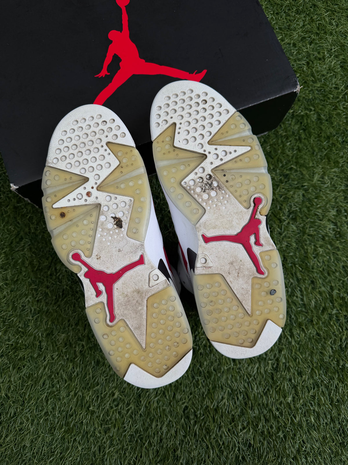 Jordan 6 Retro Carmine (2021)